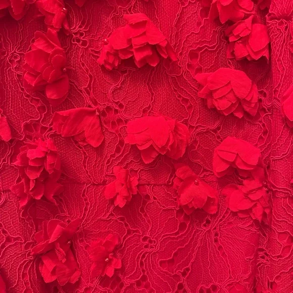 Red Floral Appliqué Lace Midi Dress – NWT – Size 8 - Picture 12 of 15